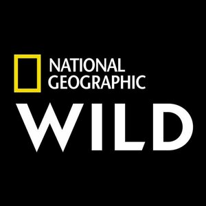 Nat Geo WILD