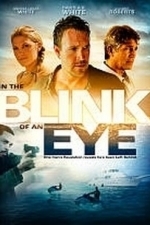 In the Blink of an Eye (2009)