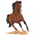 HorseMoji - Quarter Equestrian Horse Emoji Sticker