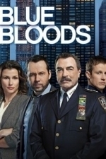 Blue Bloods  - Season 6