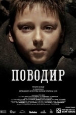 Povodyr (The Guide) (2014)