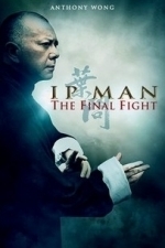 Ip Man: The Final Fight (2013)