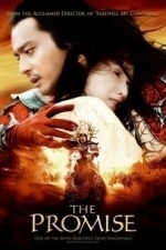 The Promise (Master of Crimson Armor) (Wu ji) (2005)