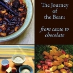 The Journey of the Bean: From Cacao to Chocolate