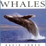 Whales