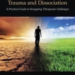 Treating Complex Trauma and Dissociation: A Practical Guide to Navigating Therapeutic Challenges