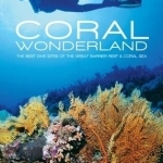 Coral Wonderland: The Best Dive Sites of the Great Barrier Reef