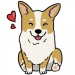 CorgMoji - Corgi Dog Pet Emoji Stickers!