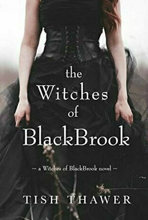 The Witches of BlackBrook (Witches of BlackBrook #1)