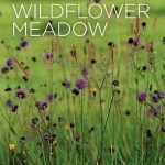 Making a Wildflower Meadow