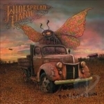 Dirty Side Down by Widespread Panic