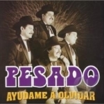 Ayudame a Olvidar by Pesado