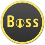 BOSS: Bookkeeping &amp; Accounting