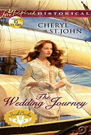 The Wedding Journey (Irish Brides, #1)