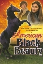 American Black Beauty (2005)
