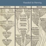 Phylogenetic Systematics: Haeckel to Hennig