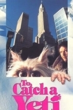 To Catch a Yeti (1993)