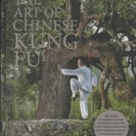 Art of Chinese Kung Fu