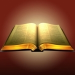 The Message Bible (MSG)