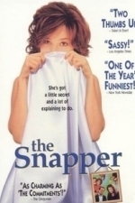 The Snapper (1993)