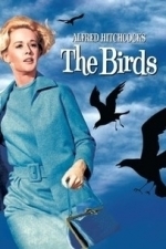 The Birds (1963)