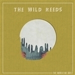 World We Built by The Wild Reeds