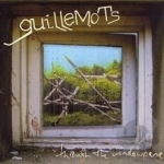 Through the Windowpane by Guillemots