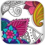 Paint &amp; color mandalas Coloring book for adults