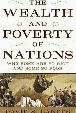 The Wealth and Poverty of Nations: Why Some Are So Rich and Some So Poor