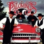 Duele El Amor by Los Palominos