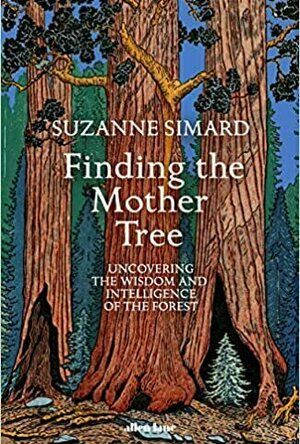 Finding The Mother Tree