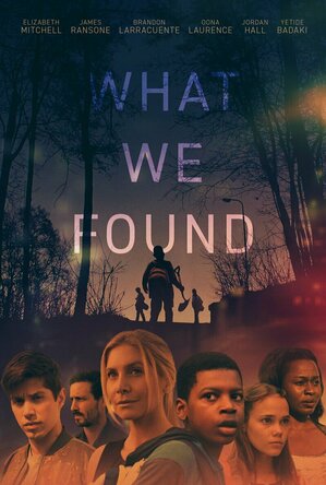 What We Found (2020)