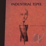 What Divine Engine by Industrial Tepee