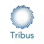 Tribus Team