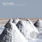 I Thought It Was Us But It Was All of Us by Saltland
