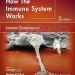 How the Immune System Works