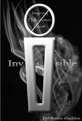 Invisible (Aerling, #1)