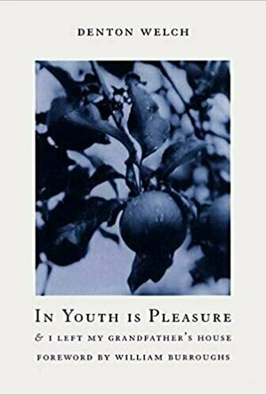 In Youth Is Pleasure