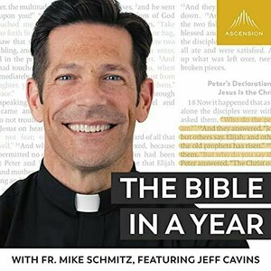 The Bible in a Year (With Fr. Mike Schmitz)