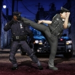 Police Karate Fighting Warrior