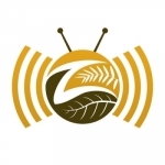 ZALUNU - Live African TV Radio