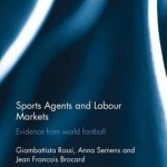 Sports Agents and Labour Markets: Evidence from World Football