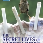 The Secret Lives of Garden Birds