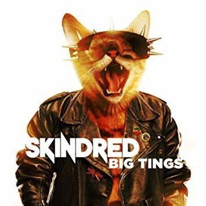 Big Tings by Skindred