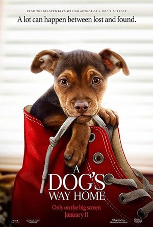 A Dog&#039;s Way Home (2019)