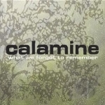 What We Forgot To Remember by Calamine