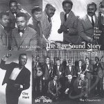 Bay Sound Story 1967-72 by Bleu Lights / Clay Hunt / Fuzzy Kane Trio... / Chaumonts