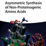 Asymmetric Synthesis of Non-Proteinogenic Amino Acids