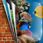 Aquarium HD Wallpapers &amp; Backgrounds – Set Fish Tank Pictures On Your Home Screen