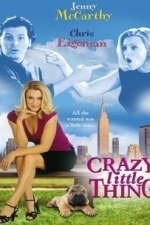 Crazy Little Thing (The Perfect You) (2002)